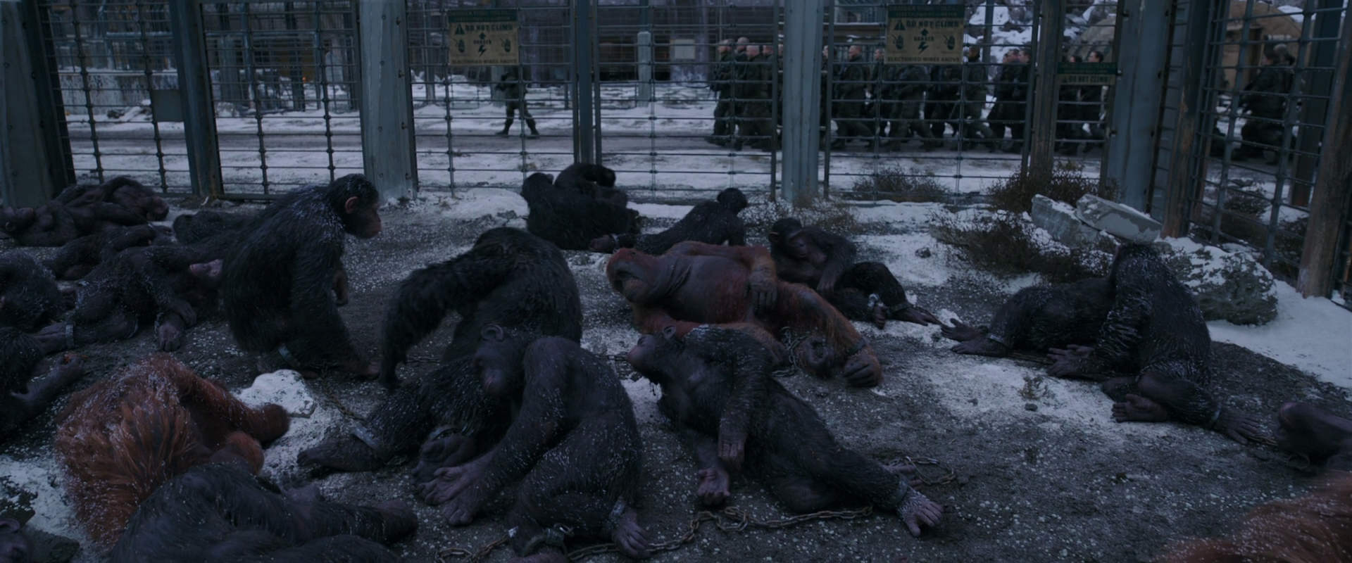 War for the Planet of the Apes (2017) HD screenshot 7811