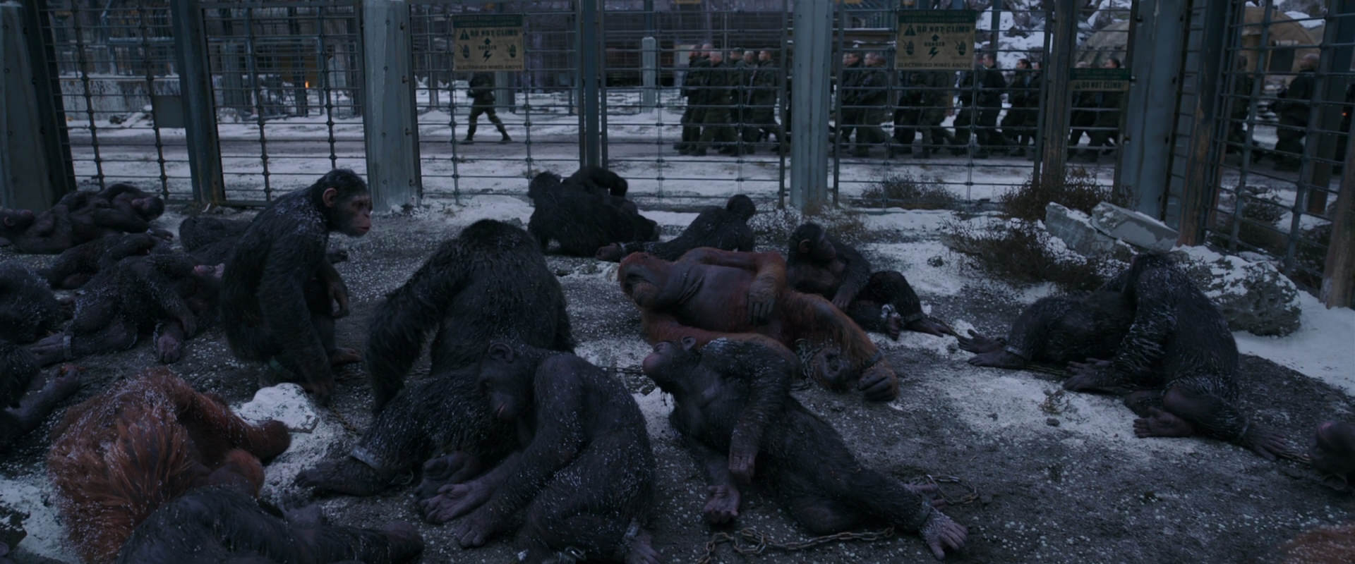 War for the Planet of the Apes (2017) screencap 7812