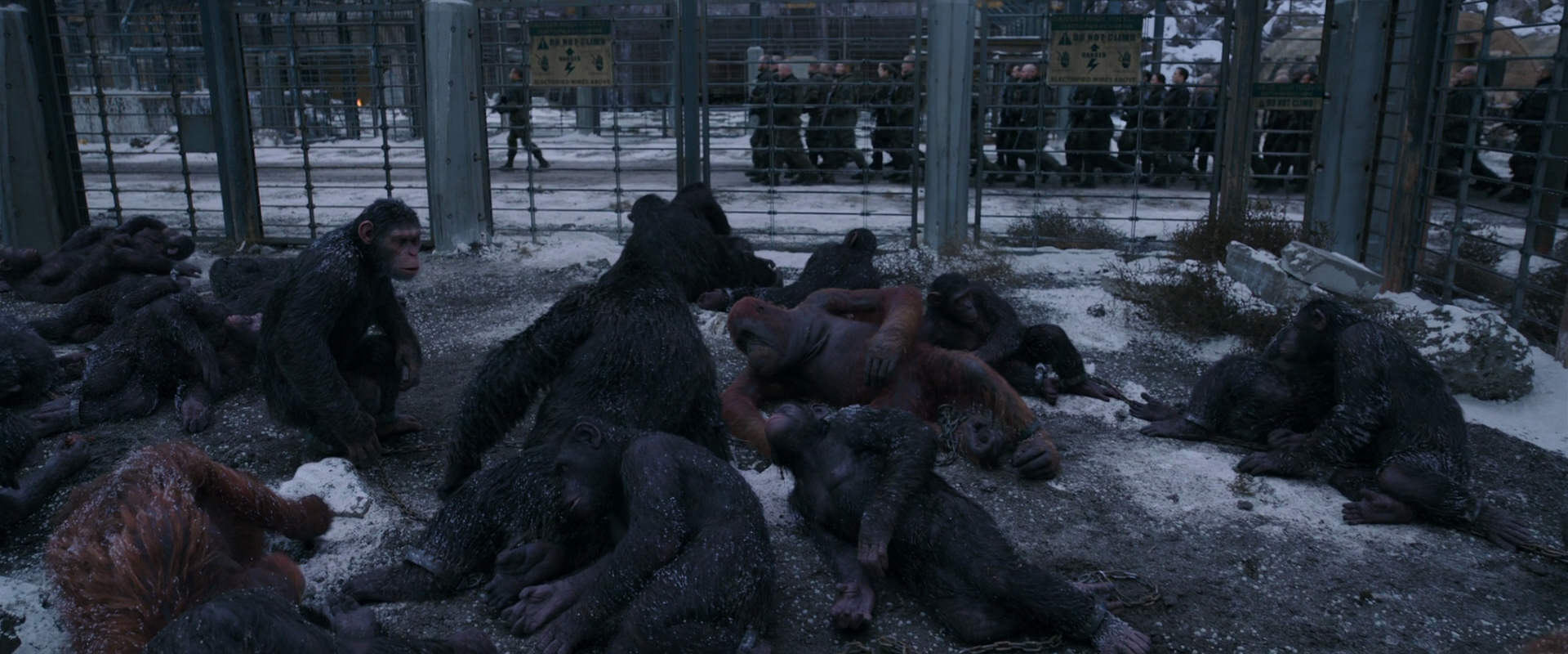 War for the Planet of the Apes (2017) movie still 7813