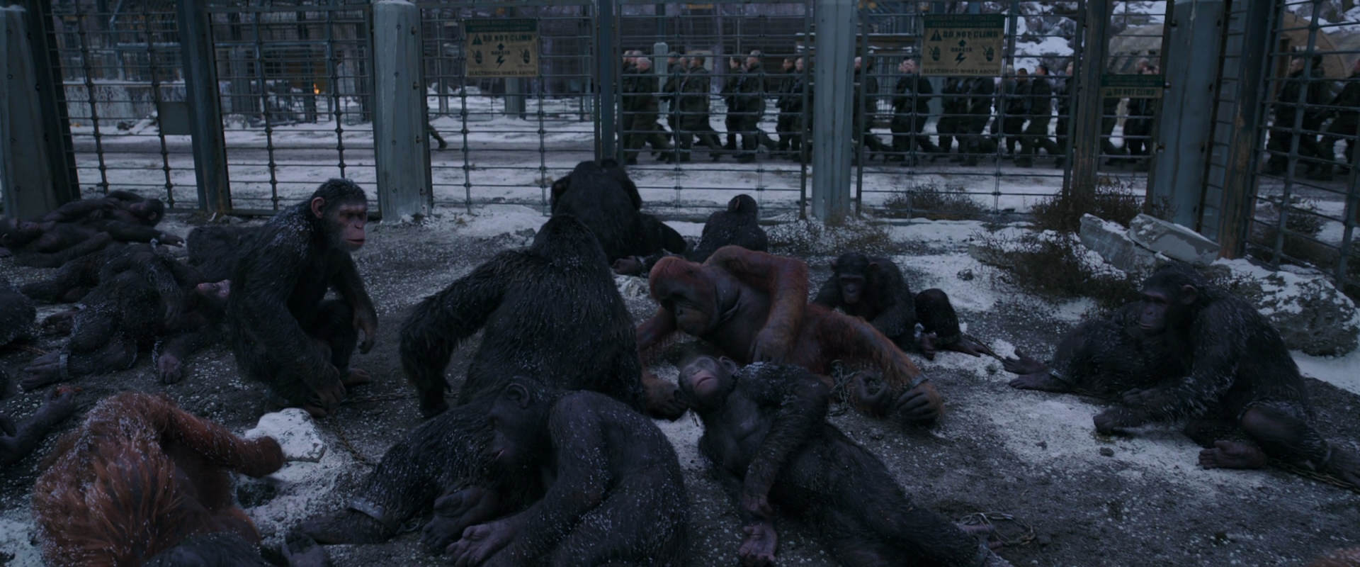War for the Planet of the Apes (2017) HD screenshot 7814