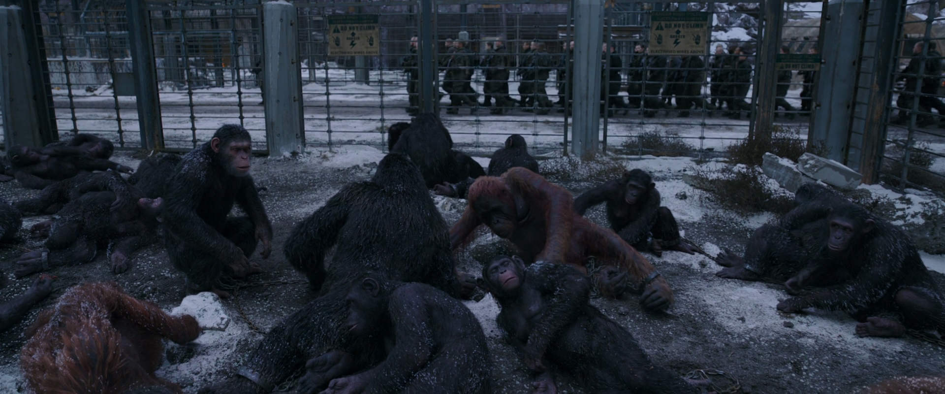 War for the Planet of the Apes (2017) screencap 7815