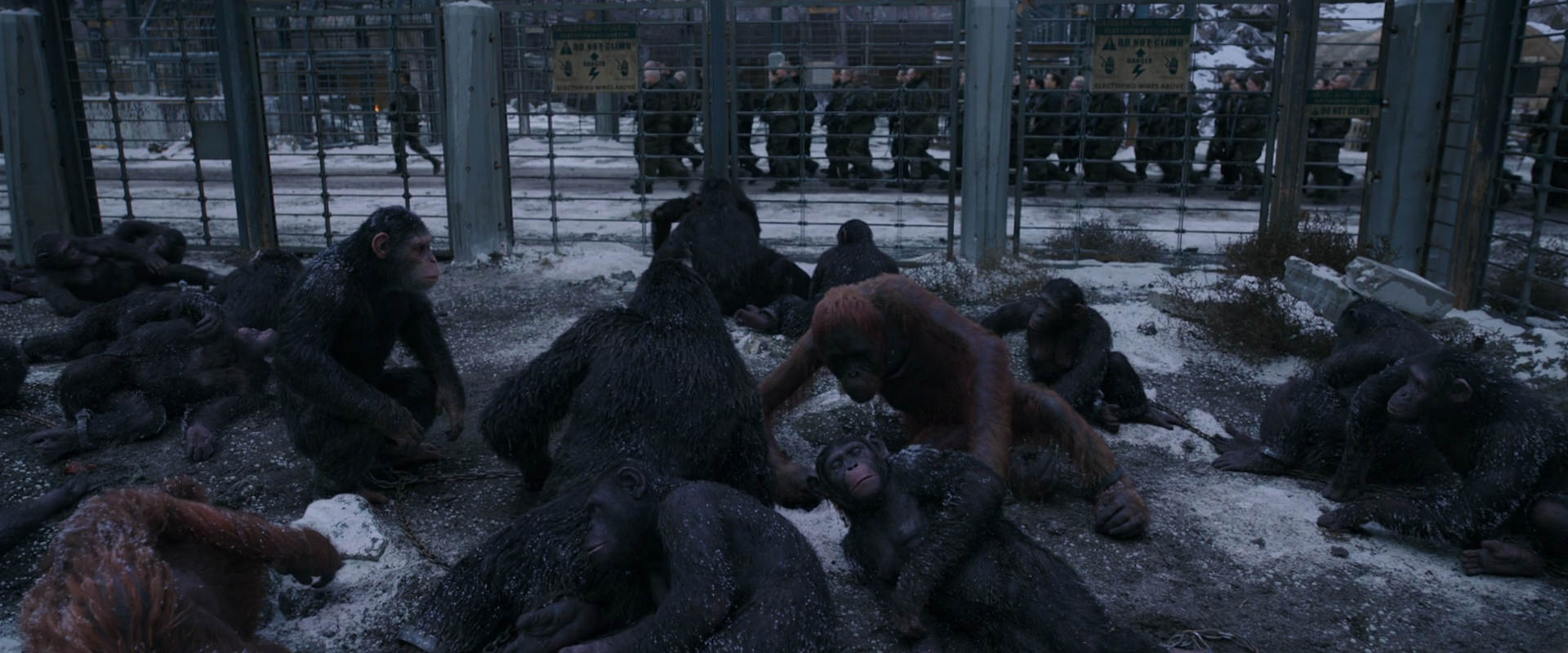War for the Planet of the Apes (2017) movie still 7816
