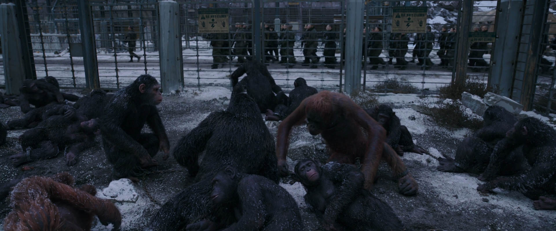 War for the Planet of the Apes (2017) HD screenshot 7817