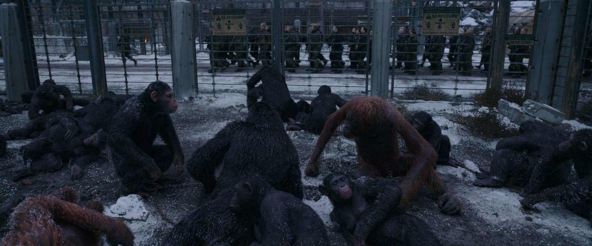 War for the Planet of the Apes (2017) screencap 7818