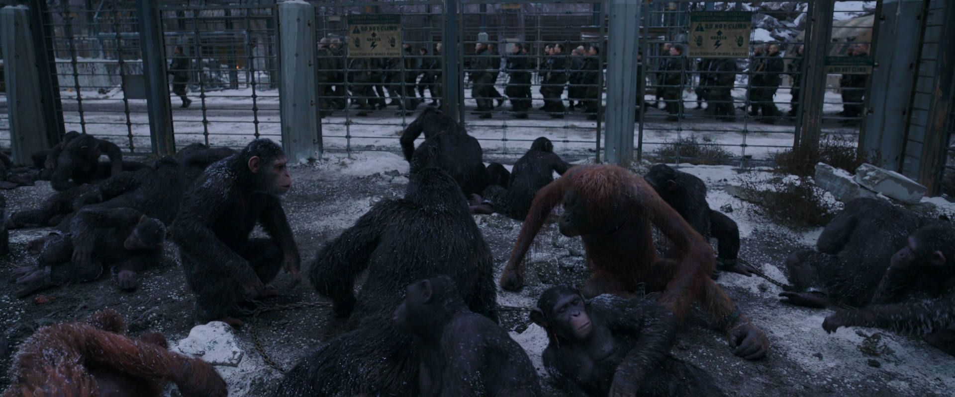 War for the Planet of the Apes (2017) movie still 7819