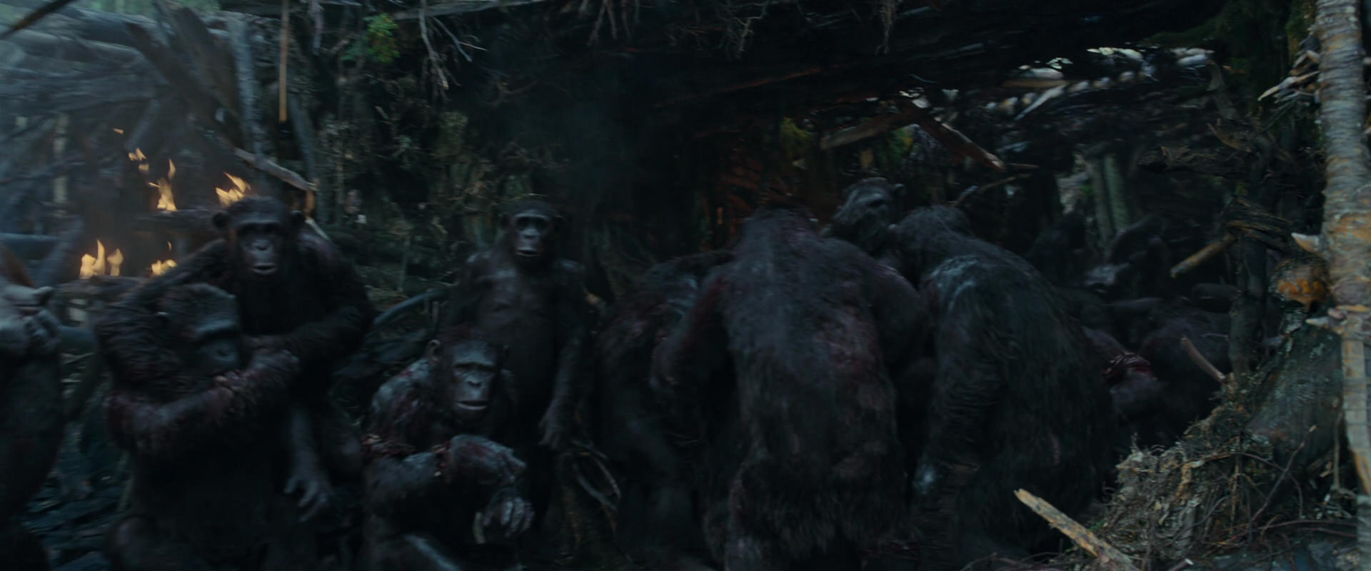 War for the Planet of the Apes (2017) HD screenshot 782