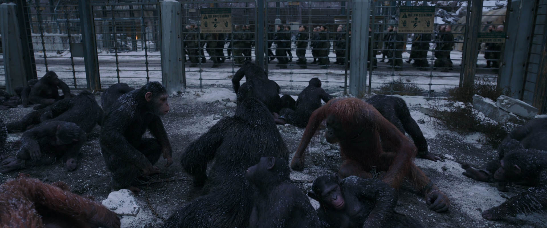 War for the Planet of the Apes (2017) HD screenshot 7820