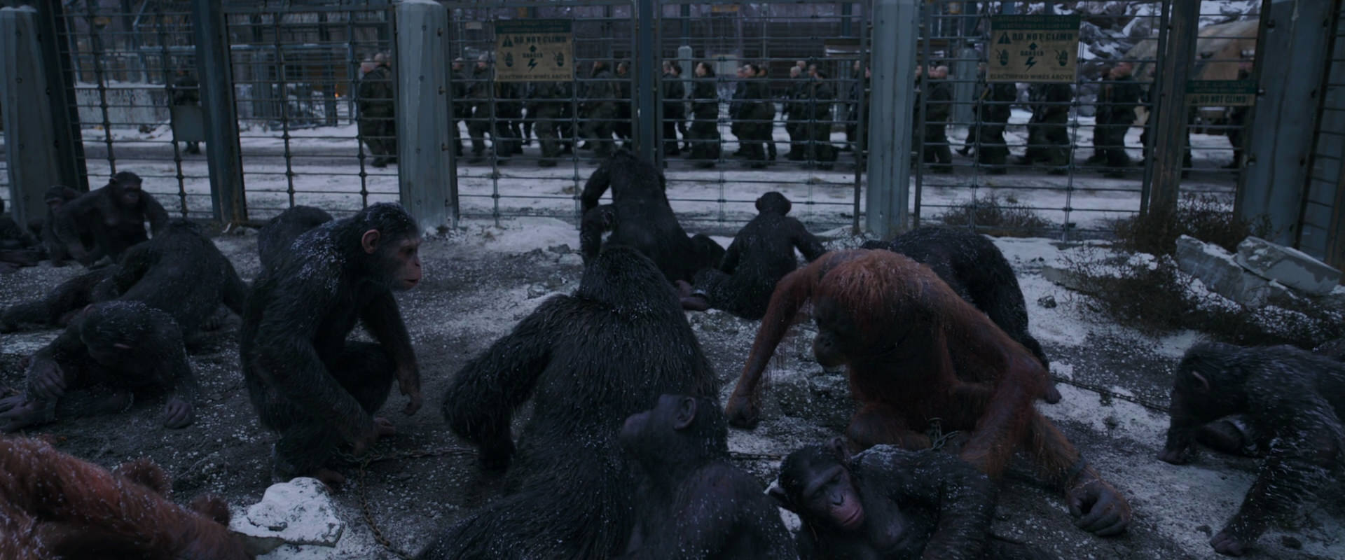 War for the Planet of the Apes (2017) screencap 7821