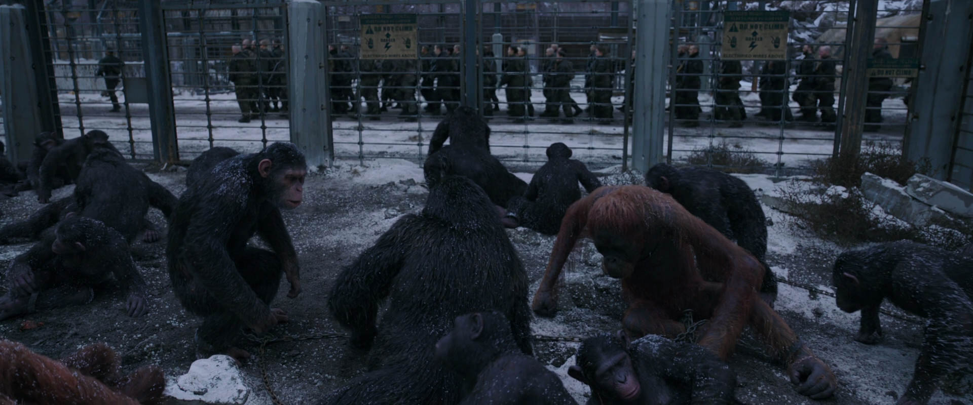 War for the Planet of the Apes (2017) movie still 7822