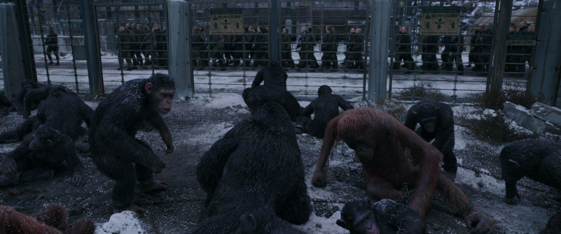 War for the Planet of the Apes (2017) HD screenshot 7823