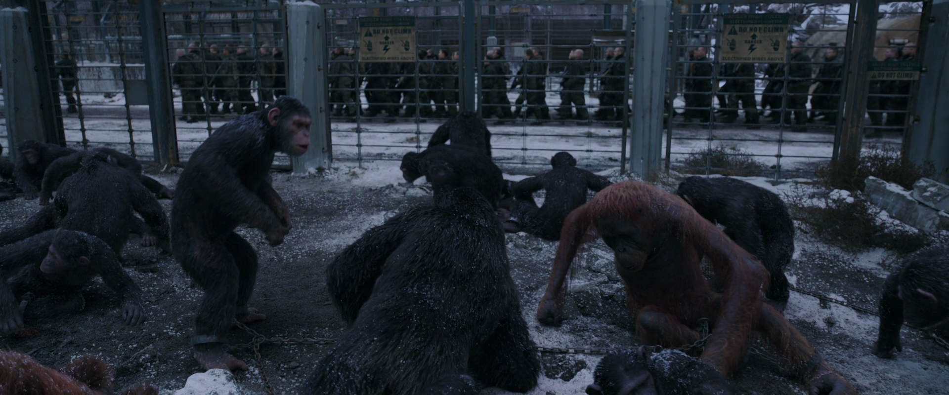 War for the Planet of the Apes (2017) screencap 7824