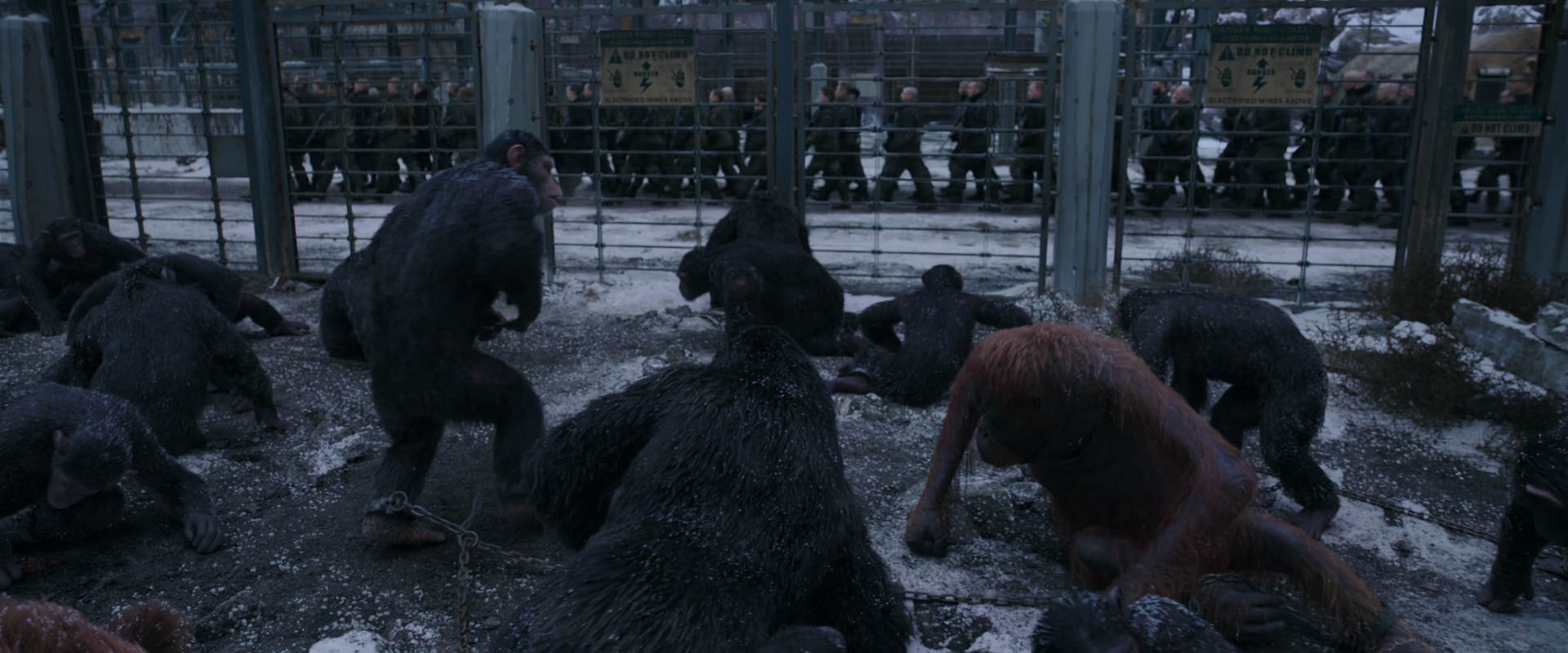 War for the Planet of the Apes (2017) movie still 7825