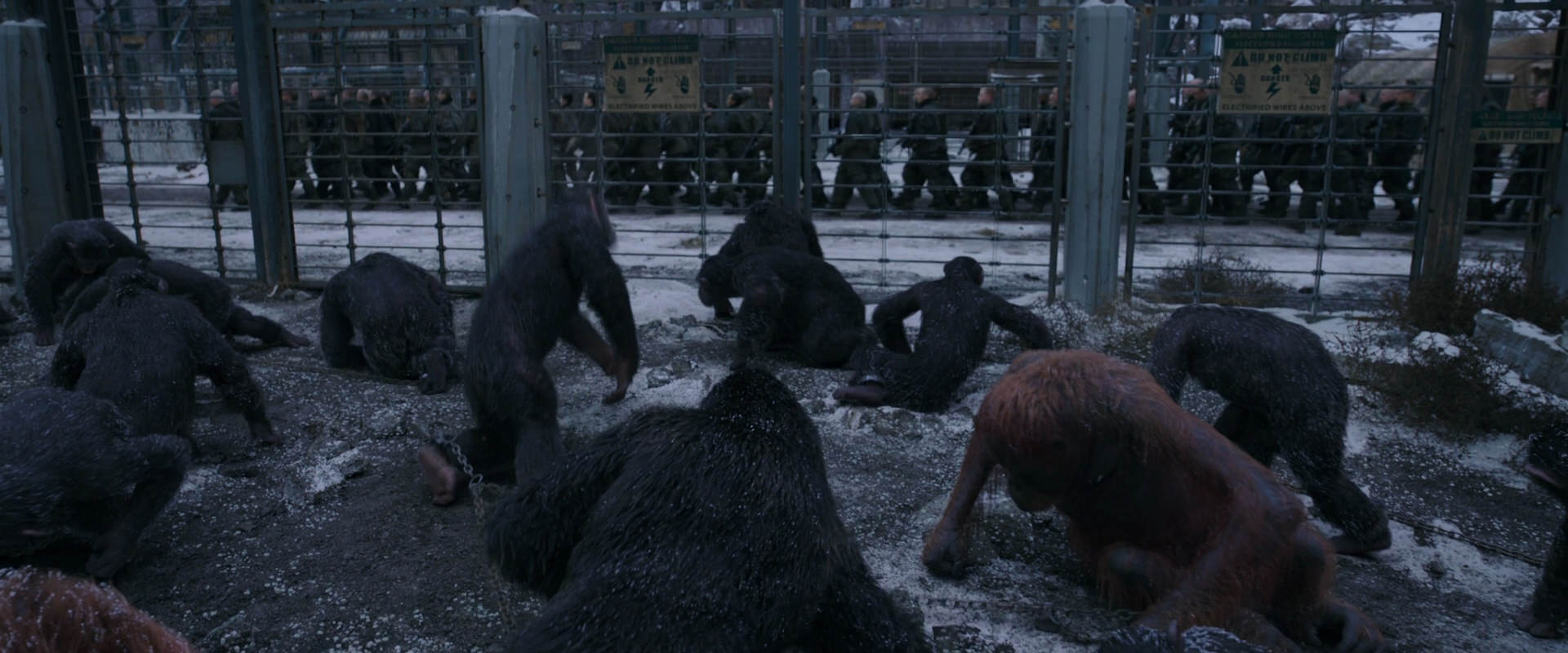 War for the Planet of the Apes (2017) HD screenshot 7826