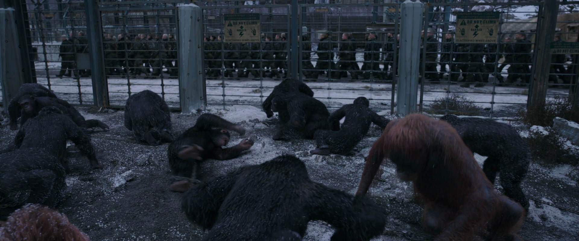War for the Planet of the Apes (2017) screencap 7827