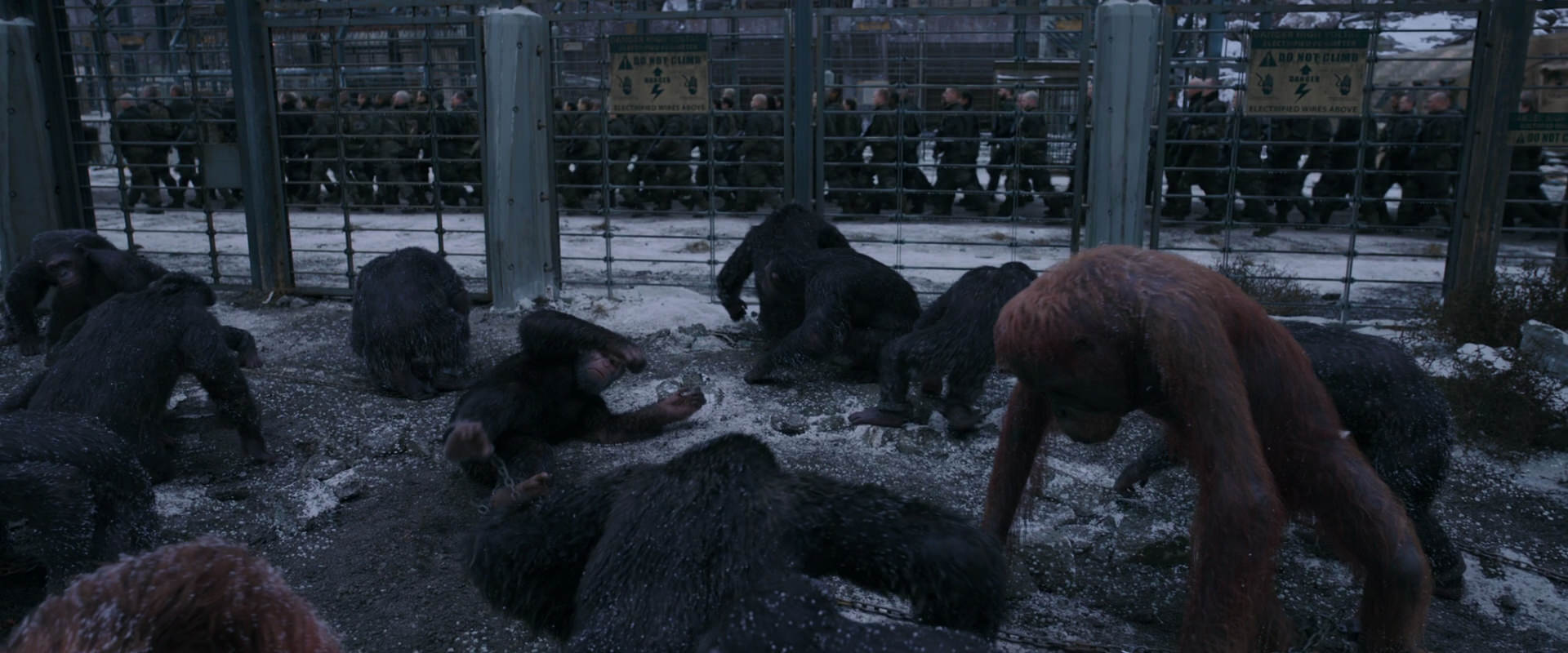 War for the Planet of the Apes (2017) movie still 7828