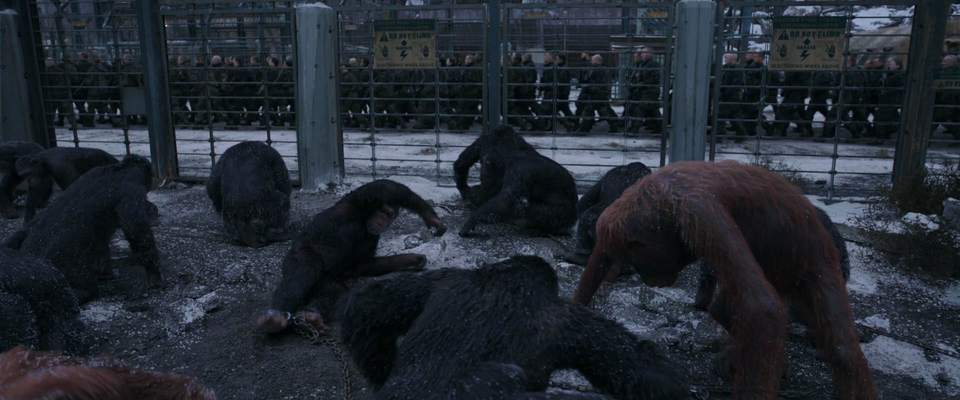 War for the Planet of the Apes (2017) HD screenshot 7829