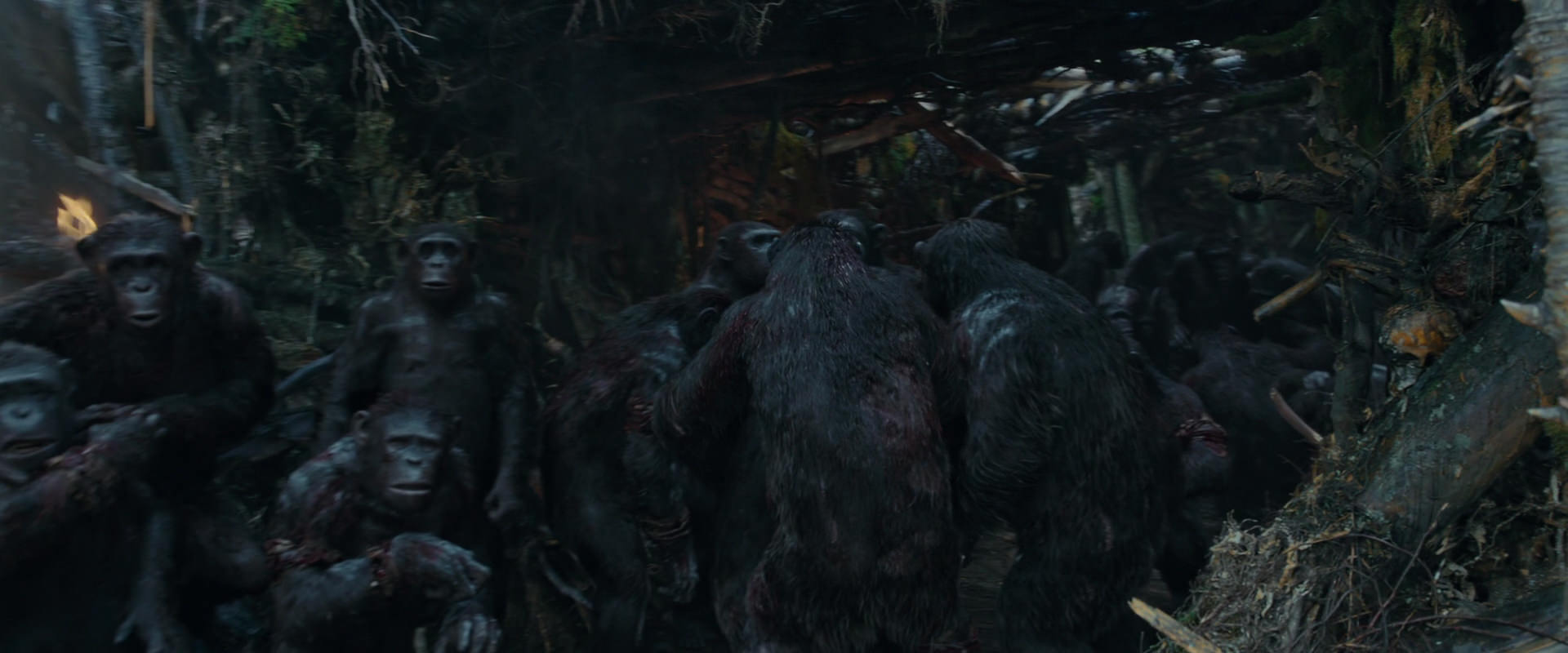 War for the Planet of the Apes (2017) screencap 783
