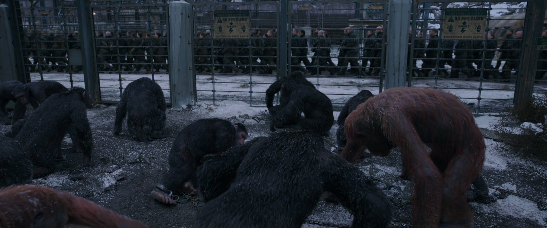 War for the Planet of the Apes (2017) screencap 7830