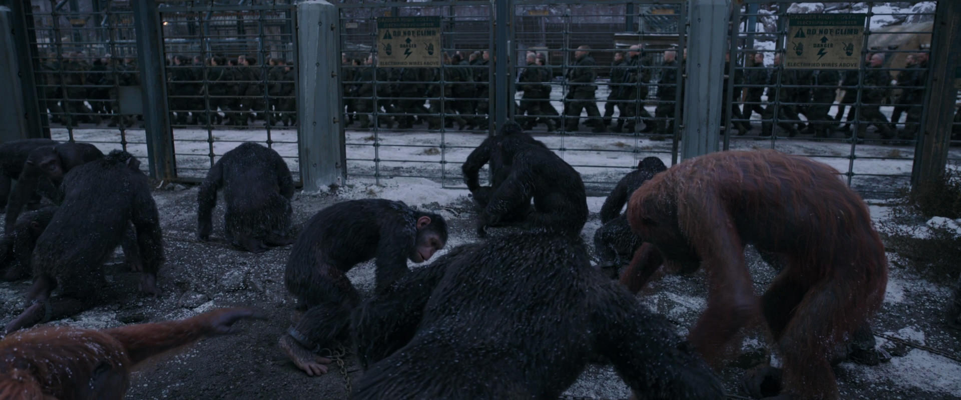 War for the Planet of the Apes (2017) movie still 7831