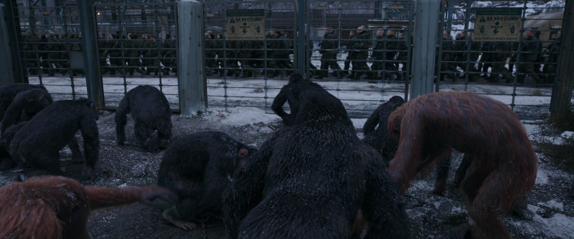 War for the Planet of the Apes (2017) HD screenshot 7832