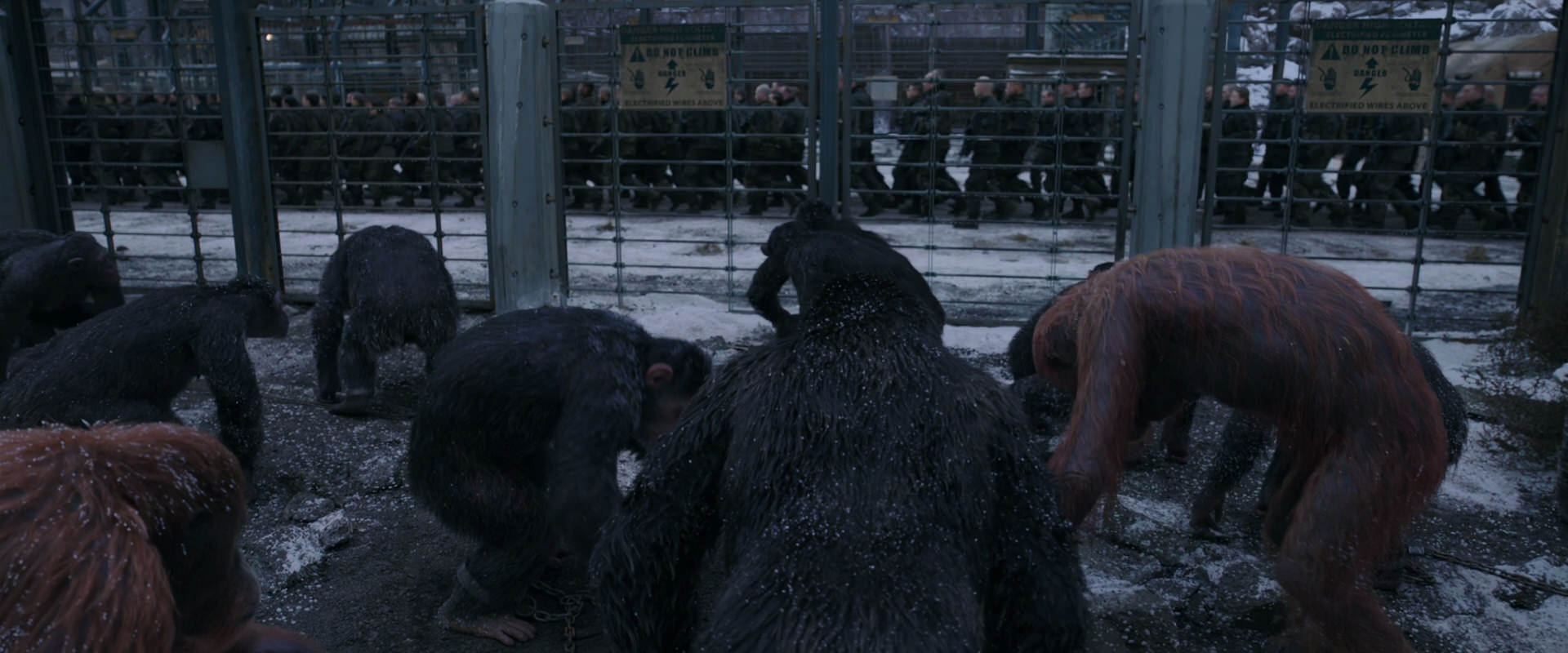 War for the Planet of the Apes (2017) screencap 7833