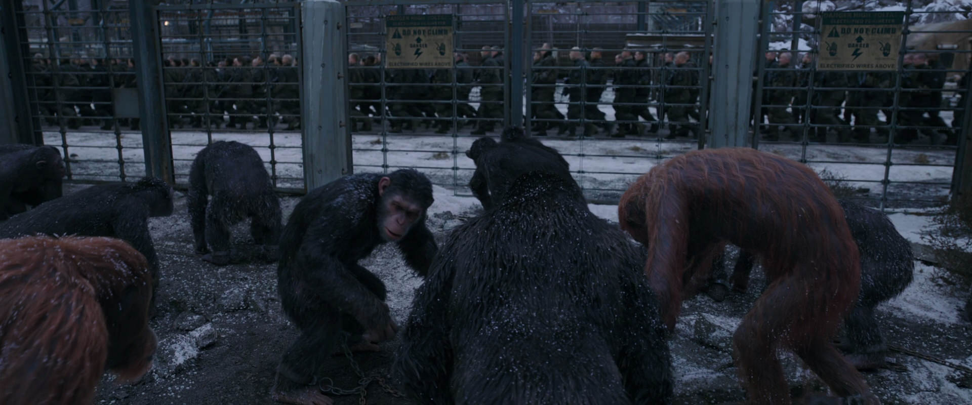 War for the Planet of the Apes (2017) movie still 7834