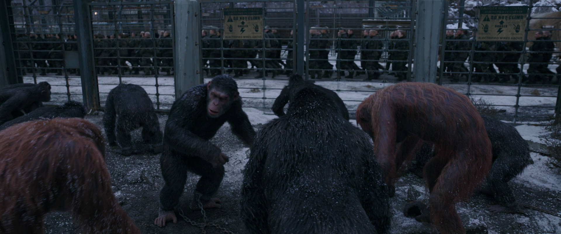 War for the Planet of the Apes (2017) HD screenshot 7835