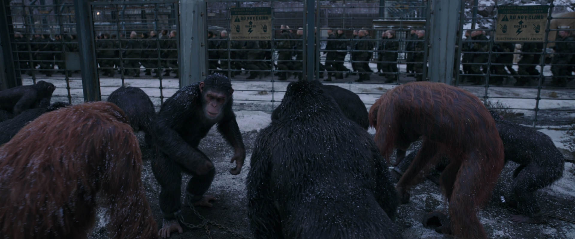 War for the Planet of the Apes (2017) screencap 7836