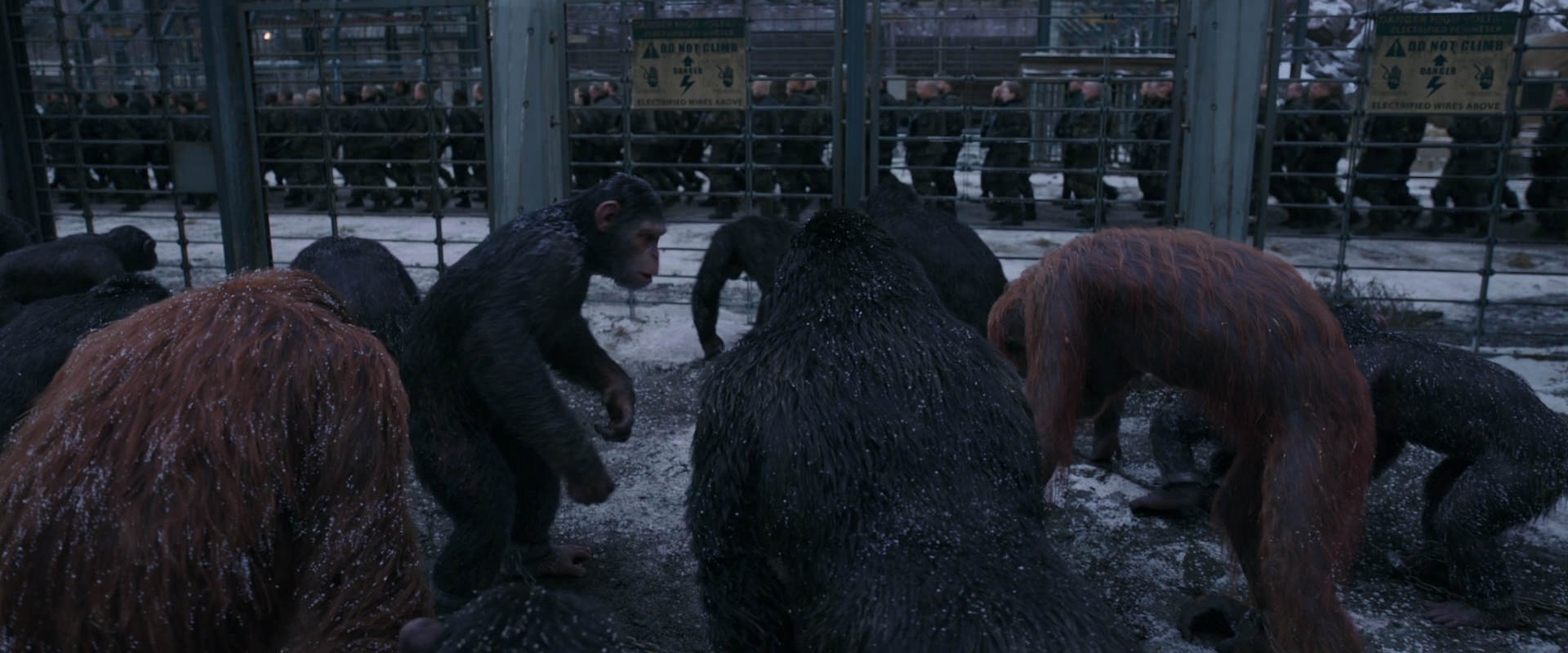War for the Planet of the Apes (2017) movie still 7837