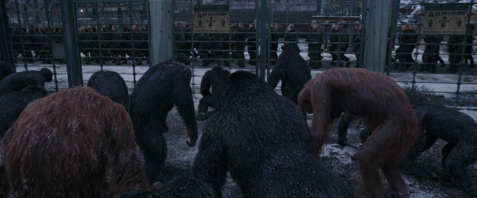 War for the Planet of the Apes (2017) HD screenshot 7838