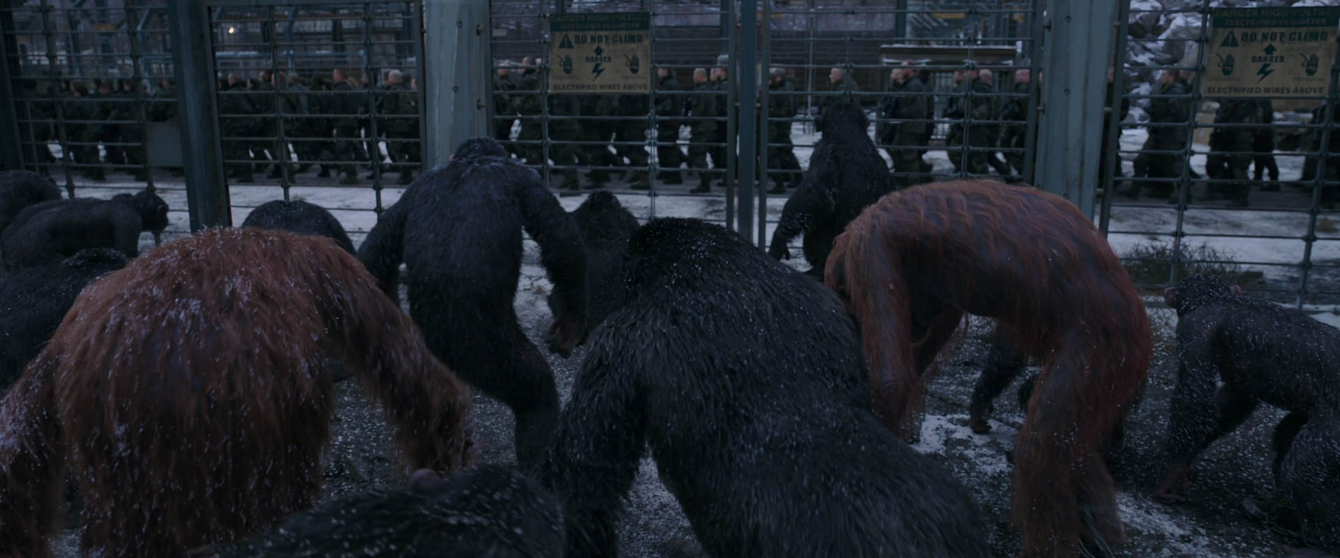 War for the Planet of the Apes (2017) screencap 7839
