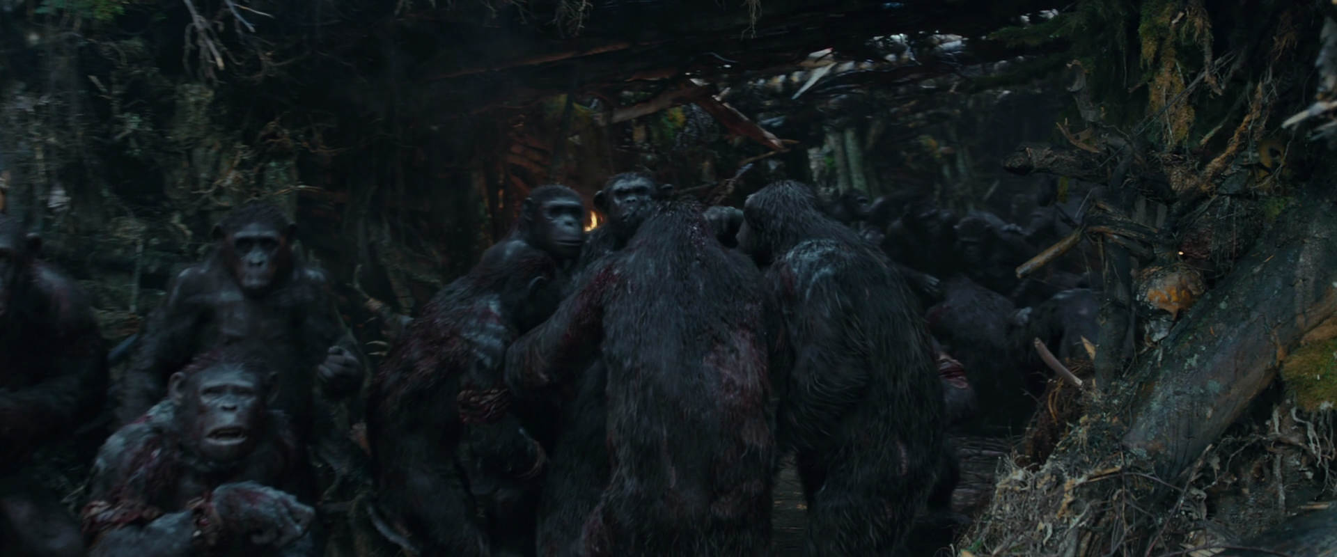 War for the Planet of the Apes (2017) movie still 784