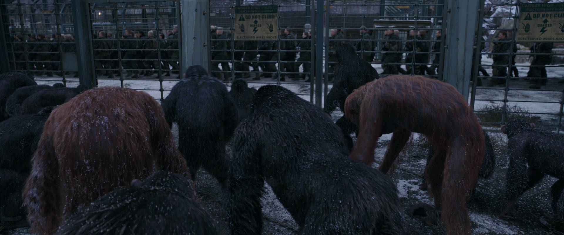 War for the Planet of the Apes (2017) movie still 7840