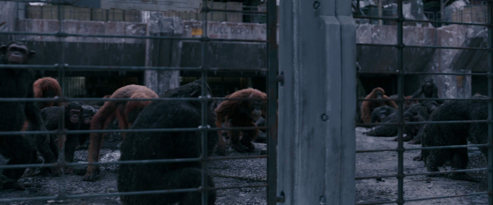 War for the Planet of the Apes (2017) HD screenshot 7841