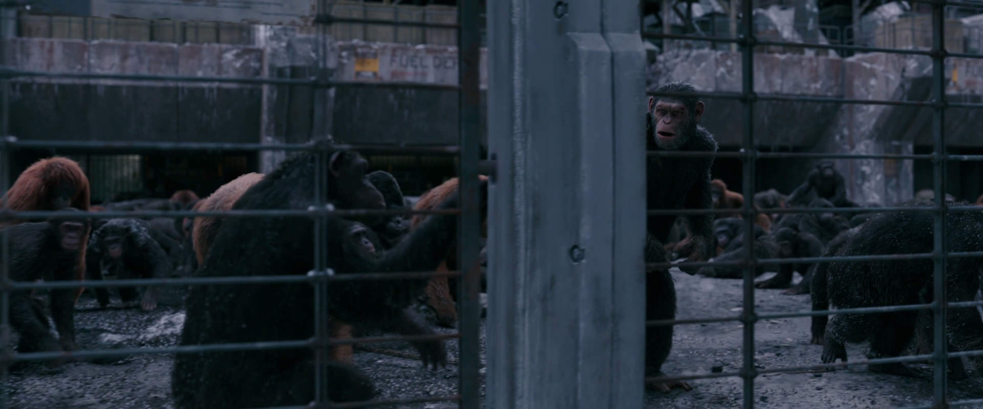 War for the Planet of the Apes (2017) screencap 7842