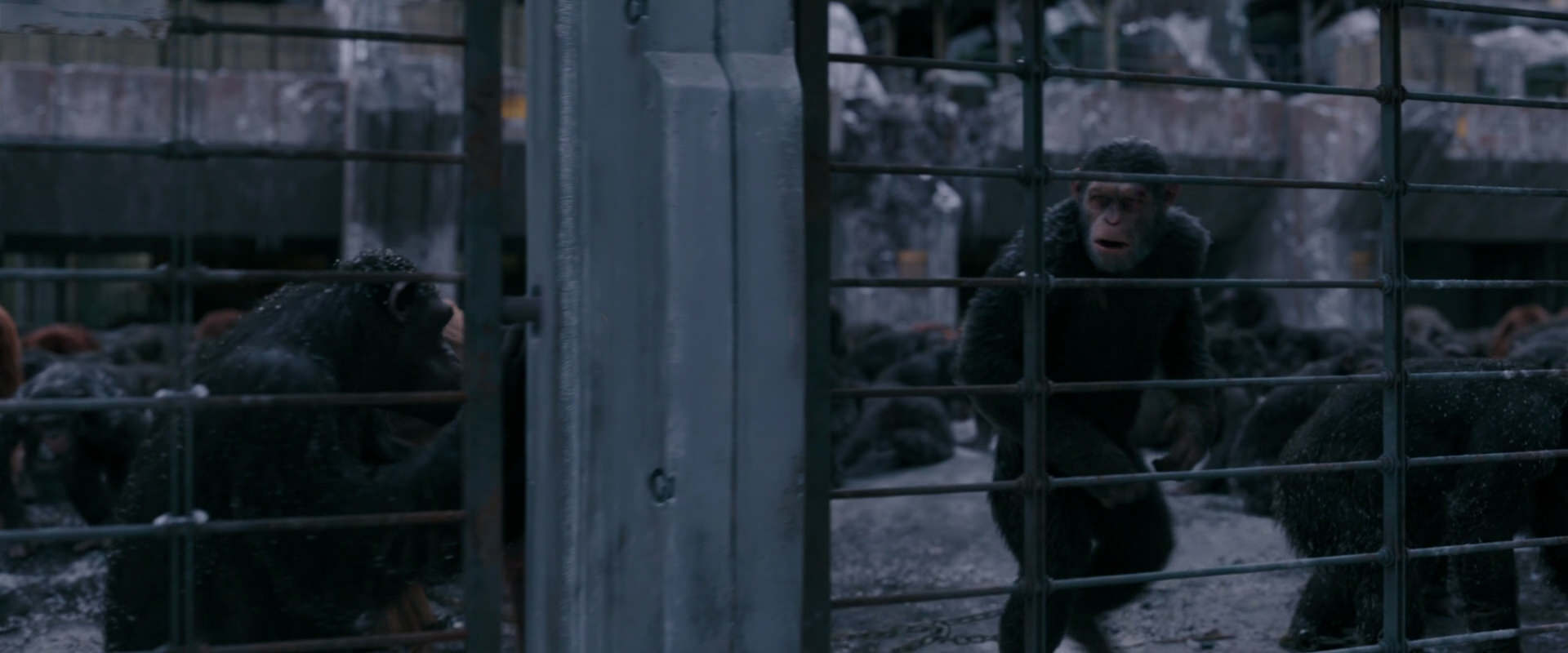 War for the Planet of the Apes (2017) HD screenshot 7844