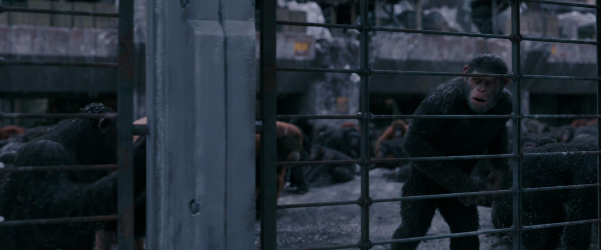 War for the Planet of the Apes (2017) screencap 7845