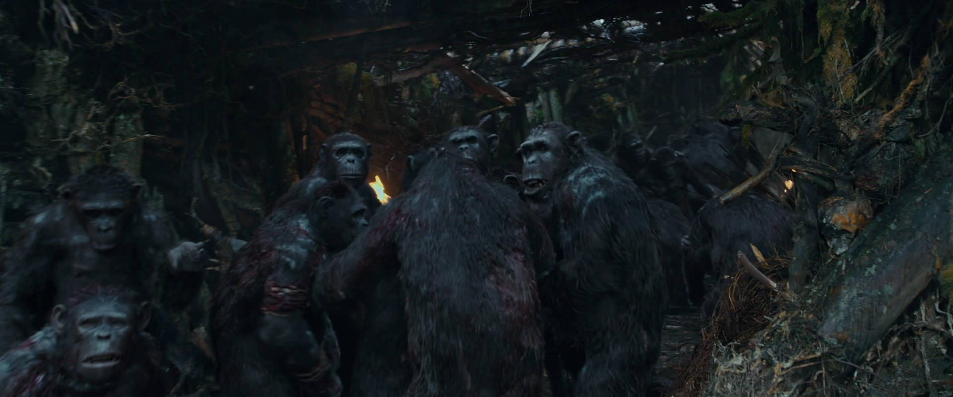 War for the Planet of the Apes (2017) HD screenshot 785