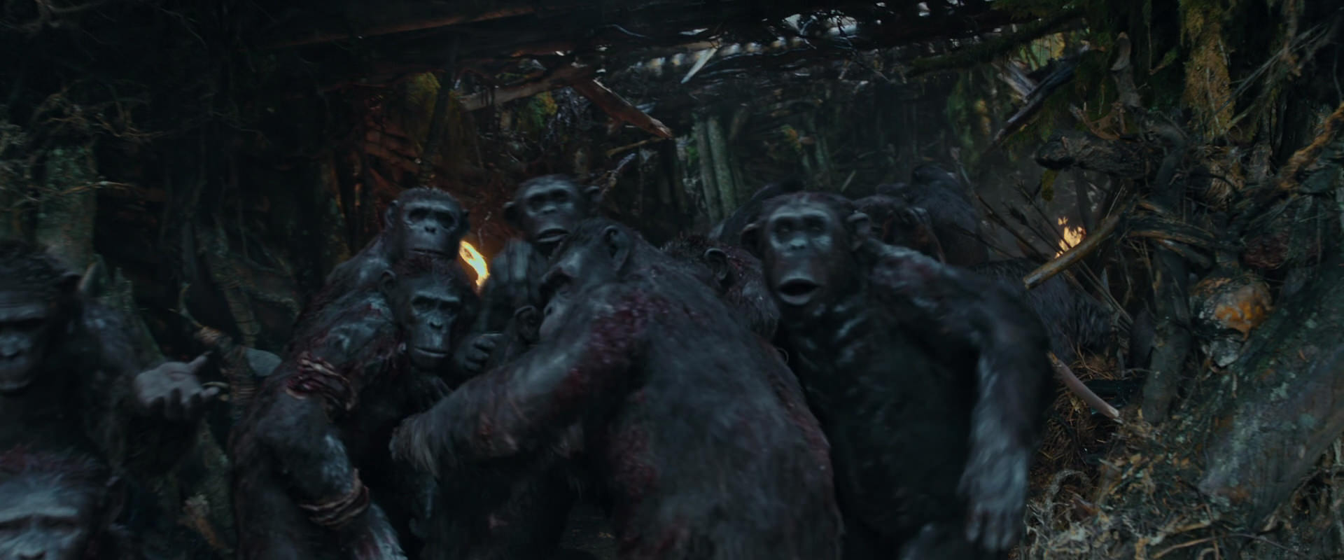 War for the Planet of the Apes (2017) screencap 786