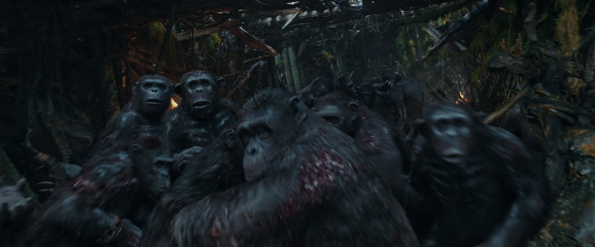 War for the Planet of the Apes (2017) movie still 787
