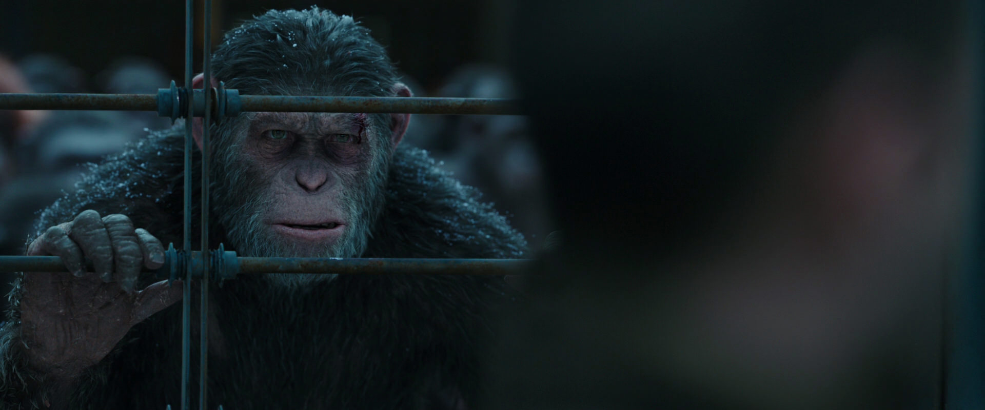 War for the Planet of the Apes (2017) movie still 7879