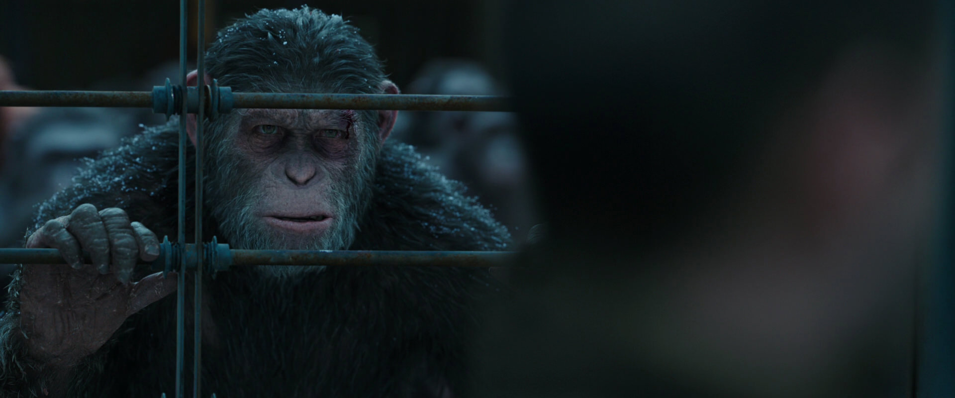 War for the Planet of the Apes (2017) HD screenshot 7880