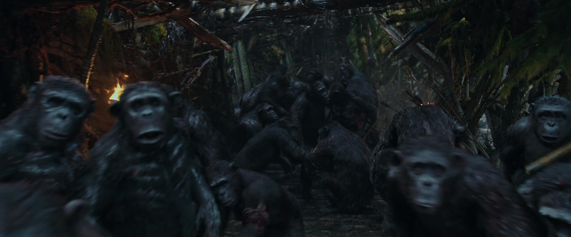 War for the Planet of the Apes (2017) screencap 789