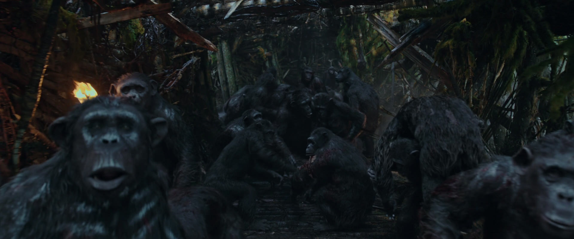 War for the Planet of the Apes (2017) movie still 790