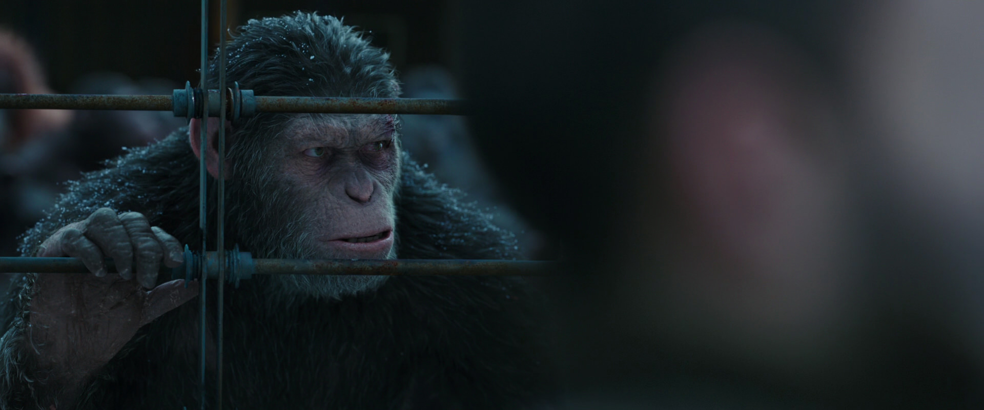 War for the Planet of the Apes (2017) movie still 7906
