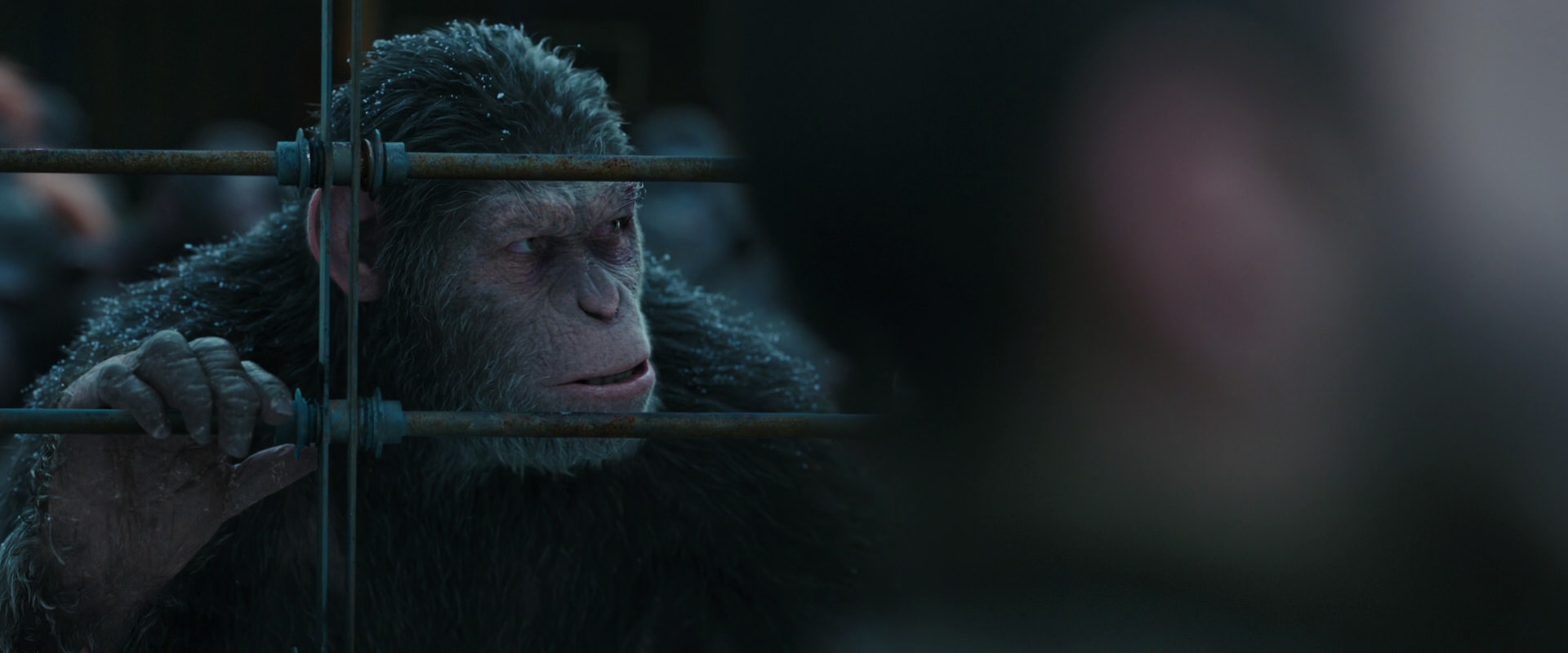 War for the Planet of the Apes (2017) HD screenshot 7907