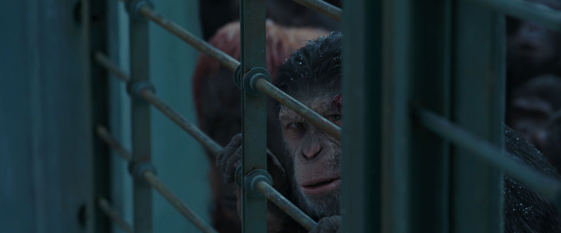 War for the Planet of the Apes (2017) screencap 7908