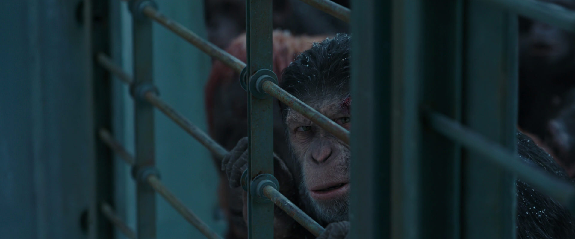 War for the Planet of the Apes (2017) movie still 7909