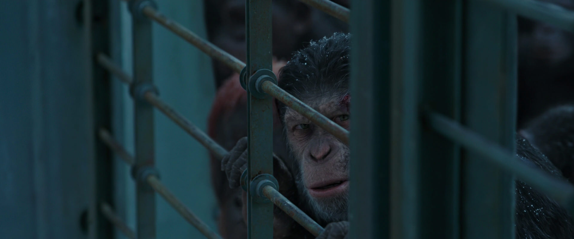 War for the Planet of the Apes (2017) HD screenshot 7910