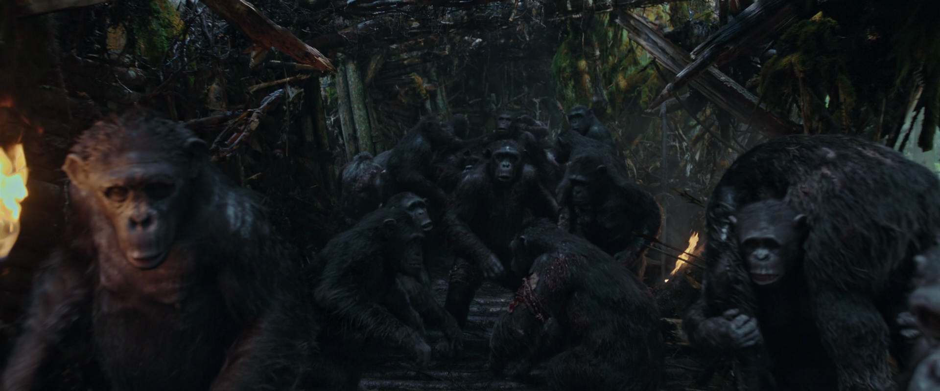 War for the Planet of the Apes (2017) screencap 792